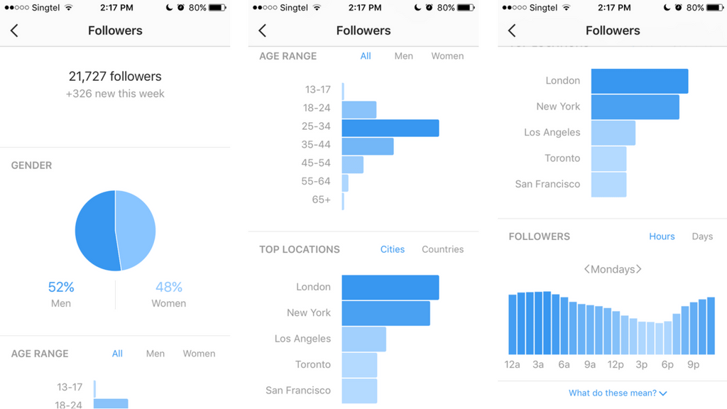 Instagram Analytics Insights Screenshot